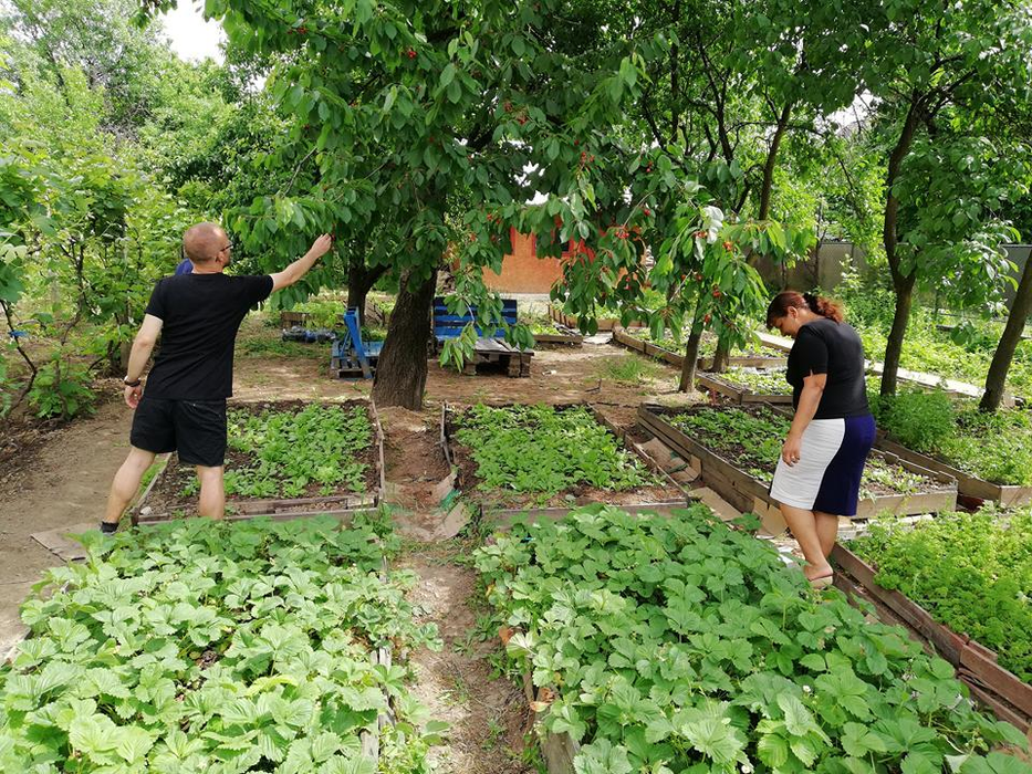 Dacă, inițial, nu aveau răbdare să învețe, acum beneficiarii programului sunt "ași" ai agriculturii