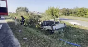 Galerie foto - poza 2