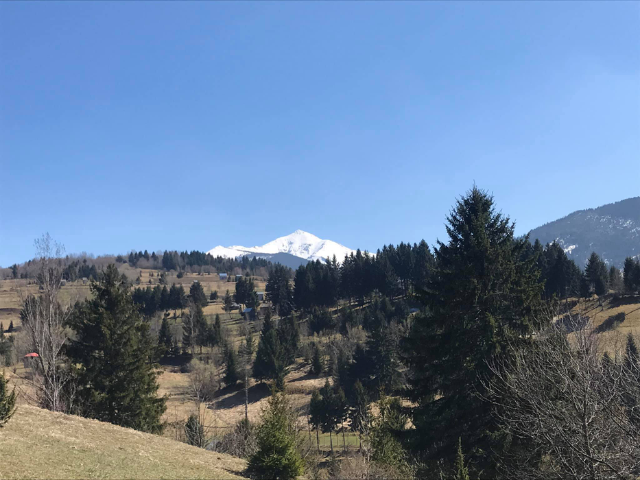 Plaiurile maramureșene au rămas pustii în acest an