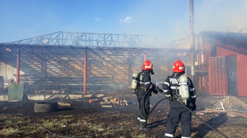 VIDEO. Incendiu violent la o fabrică de termopane din Argeș, la 10 metri de o stație GPL