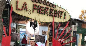 Galerie foto - poza 1