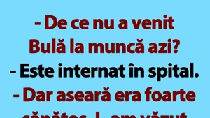 BANC | Motivul pentru care Bulă nu a venit azi la muncă