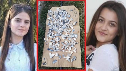 Un nou termen în cazul Caracal. Mama Luizei Melencu se revoltă: „Am fost mințiți și suntem mințiți”