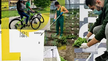 Ei sunt studenții-bicicliști care livrează legume pe orice vreme