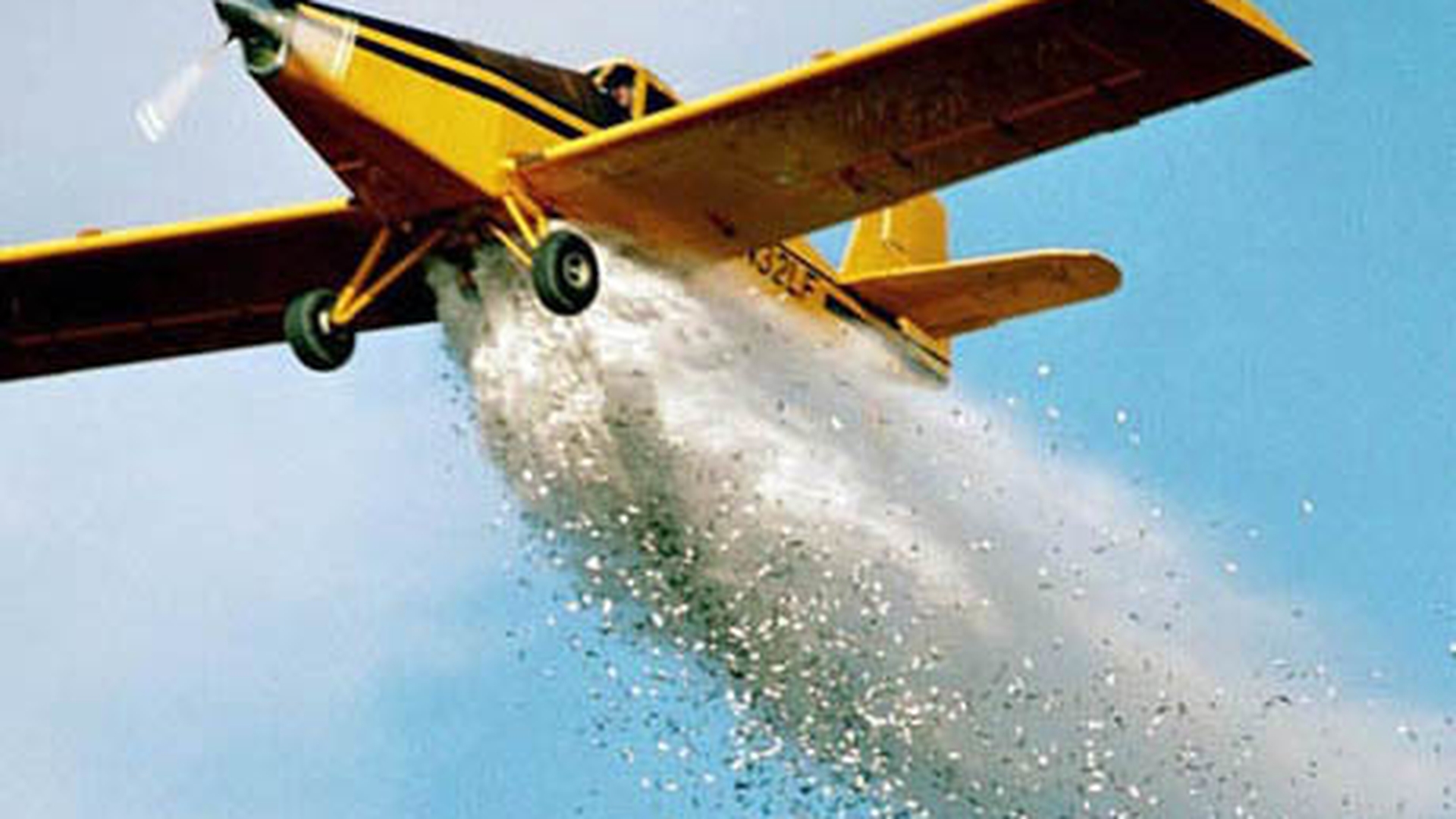 Braşovenii sunt panicaţi după ce s-au trezit că se întâmplă asta! Tone de peşte congelat au fost aruncate din avion