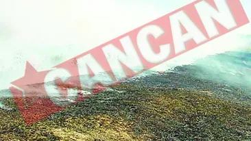 Sute de hectare de teren agricol, distruse de incendii