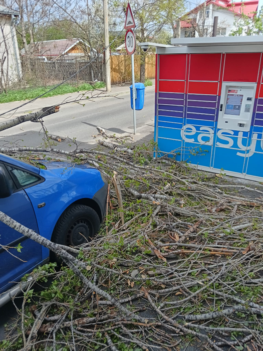 Furtuna a făcut ravagii în Capitală!