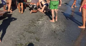 Galerie foto - poza 4