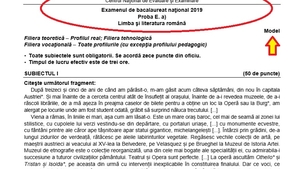 Bacalaureat 2019. Absolvenții de liceu susțin prima probă scrisă, la Limba si literatura română
