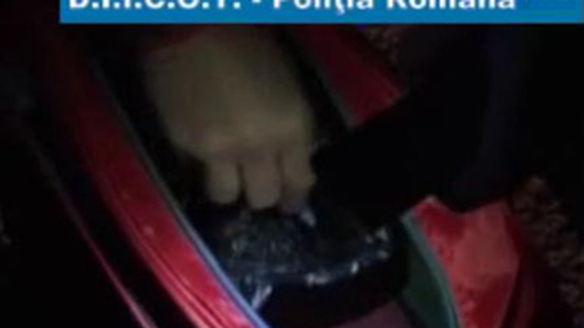 VIDEO Aproape 3 kilograme de cocaina si heroina, in valoare de 60.000 de euro, confiscate in Timis