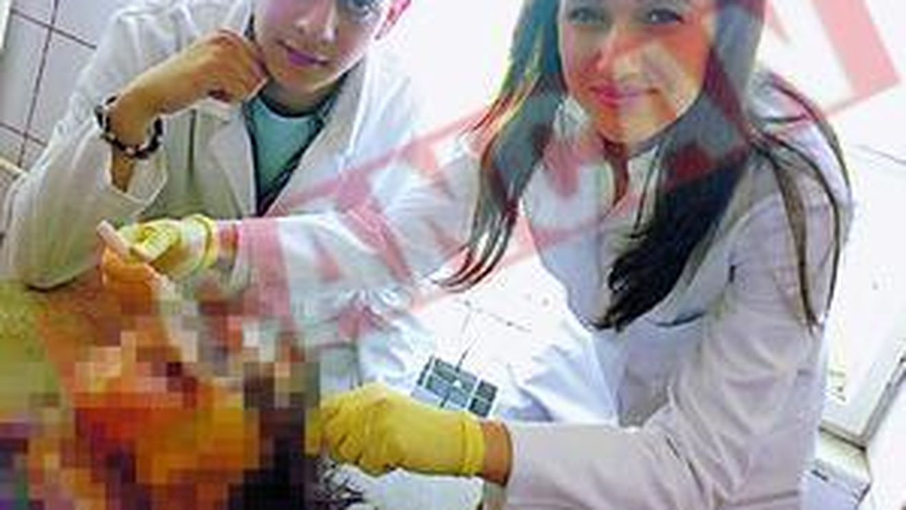 S-au pozat cum scot ochii cadavrelor