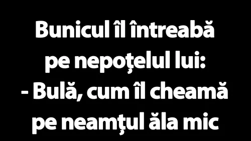 BANC | Bulă, cum îl cheamă pe neamțul ăla mic care îmi tot ascunde lucrurile?