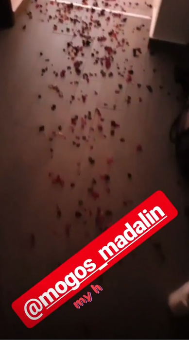 O vedetă de la Antena 1 a fost cerută de soție ca-n filme! Cu o cină la lumina lumânărilor și petale de tradafir peste tot