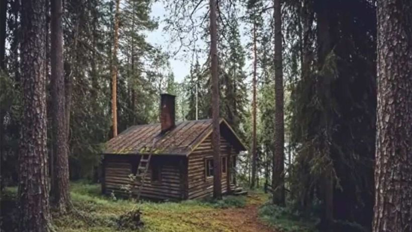 Iluzie optică virală | Doar 1 dintre 100 de persoane poate găsi ursul ascuns în această imagine