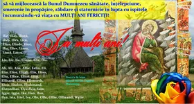 Galerie foto - poza 1