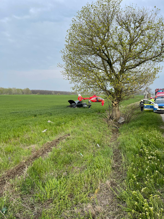 Accident mortal în Prahova! A intrat cu mașina într-un copac și s-a făcut praf. Șoferul a murit pe loc