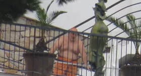 Galerie foto - poza 3