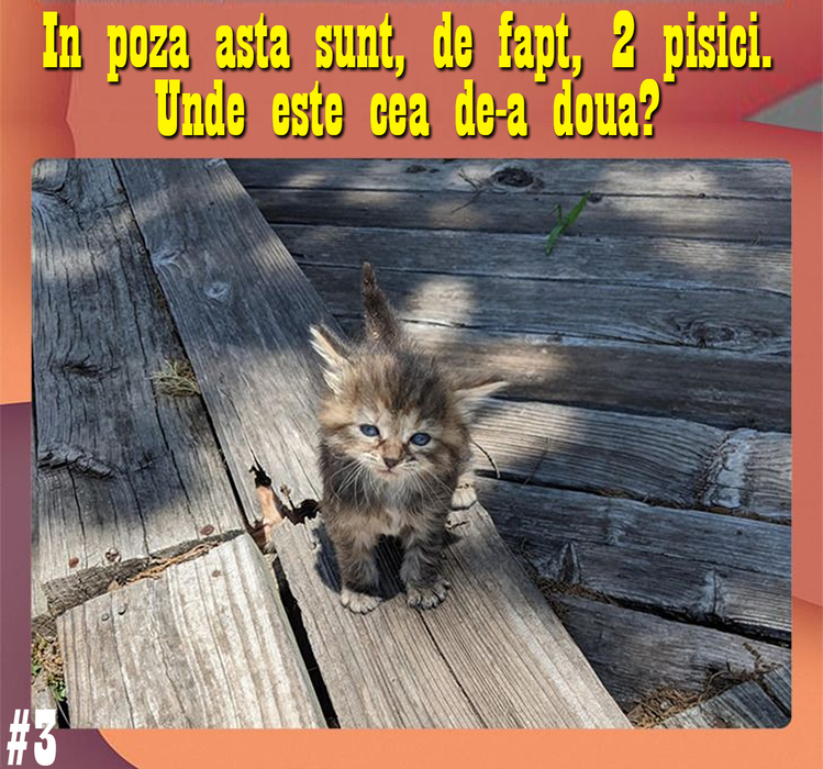 TEST  IQ | Poți răspunde corect la toate cele 10 întrebări? Prima: Câte triunghiuri sunt, în total?