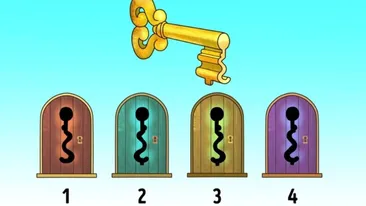 Test de inteligență | Cheia din imagine poate deschide o singură ușă. Care?