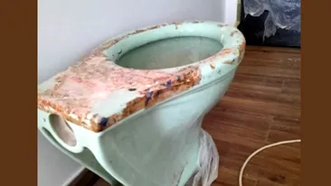 Nu este o glumă! Ce a pățit un bărbat din Cluj-Napoca, după ce a dat anunț că donează acest vas de WC