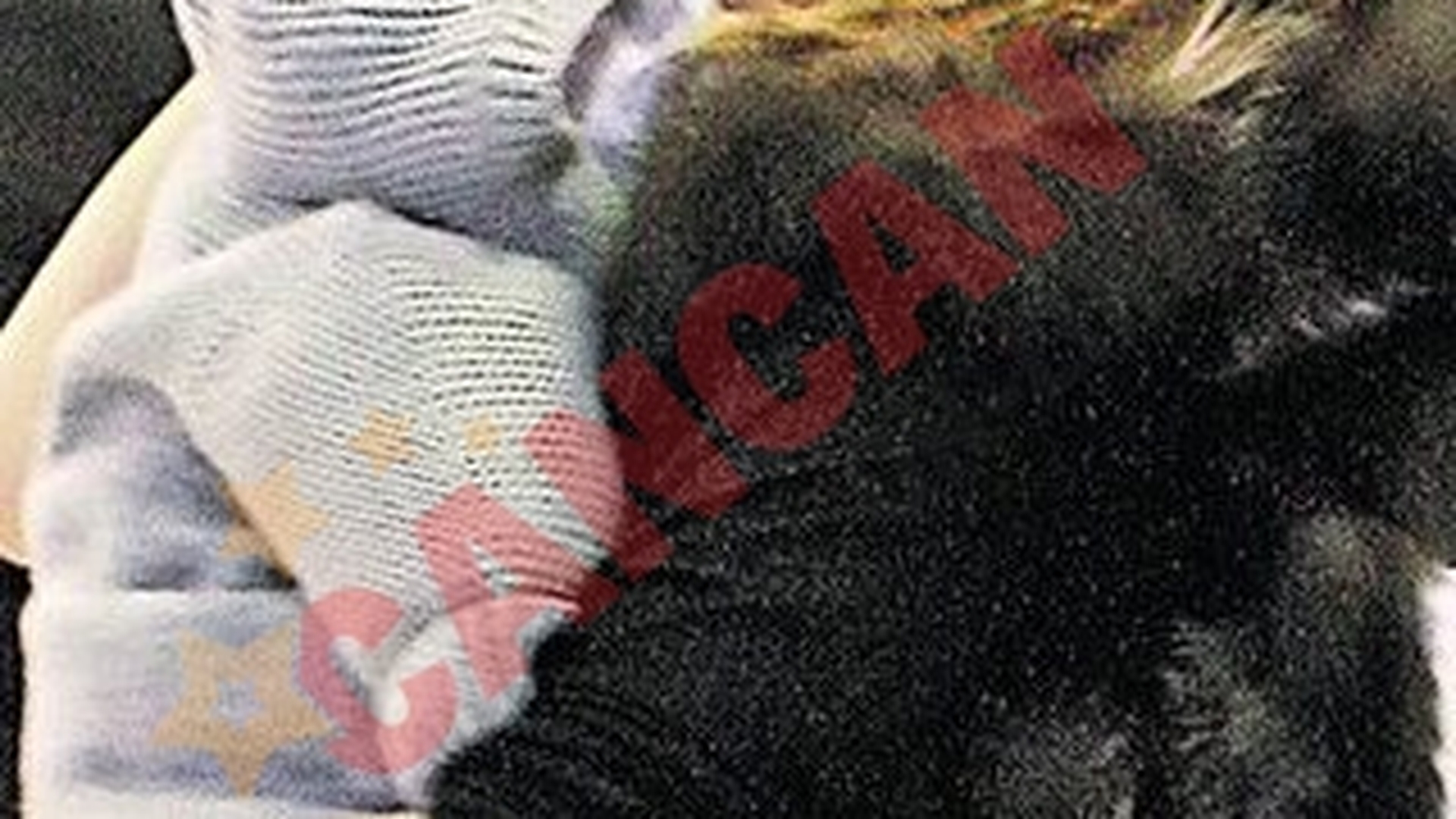 Cauta innebunita o biserica catolica!
