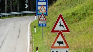 Ce înseamnă indicatorul cu „2+”. Poate aduce o amendă de peste 1.000 de lei