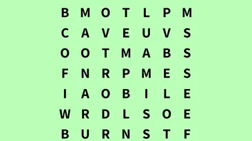 TEST IQ | Găsiți cuvântul vapor în cel mult 8 secunde!