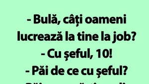 BANC | "Bulă, câți oameni lucrează la tine la job?"