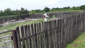 Pesta porcină se întoarce în Dâmbovița: noi focare la Movila, Răzvad și Lungulețu