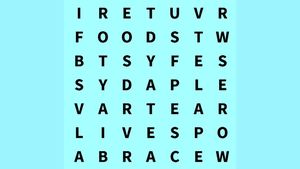 Test de perspicacitate | Găsiți cuvântul "lady" în maximum 6 secunde!