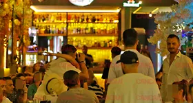 Galerie foto - poza 1