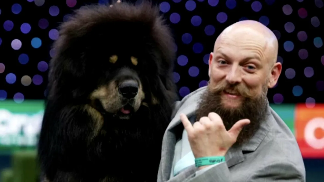Viking, câinele Mastiff Tibetan de 55 de kg, care a adus titlul mondial în România, dar și pentru rasa lui! Ce dietă are