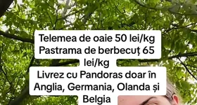 Galerie foto - poza 4