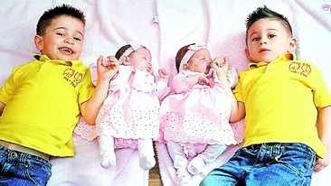 Gemenii Diego si Armani au primit cadou de ziua lor doua surioare