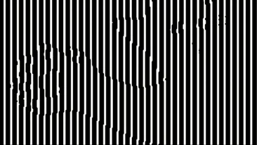 Iluzie optică virală | Numiți animalul care se ascunde în această fotografie