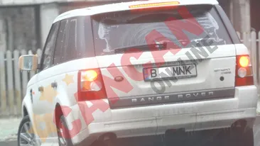 Delia umbla cu oglinda bandajata