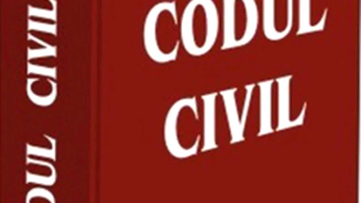 Consiliul de familie, o noua institutie introdusa de noul Cod civil incepand cu 1 octombrie 2011