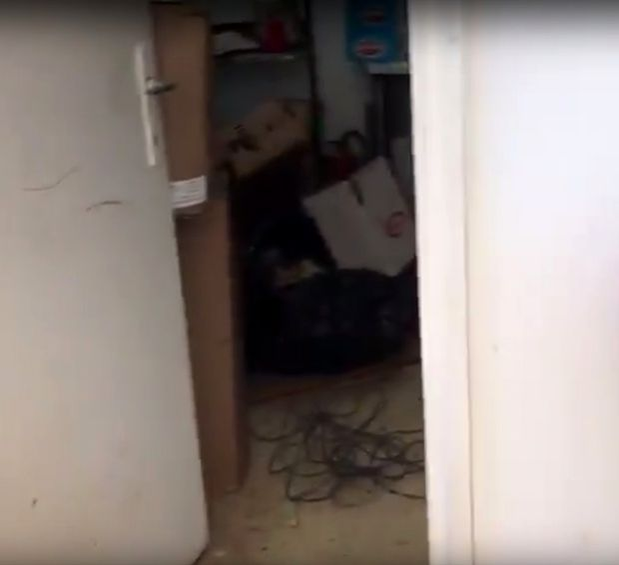 După ce vei vedea asta, nu vei mai mânca niciodată! Cum e pregătit, de fapt, porumbul fiert vândut pe plajele de lux din Mamaia