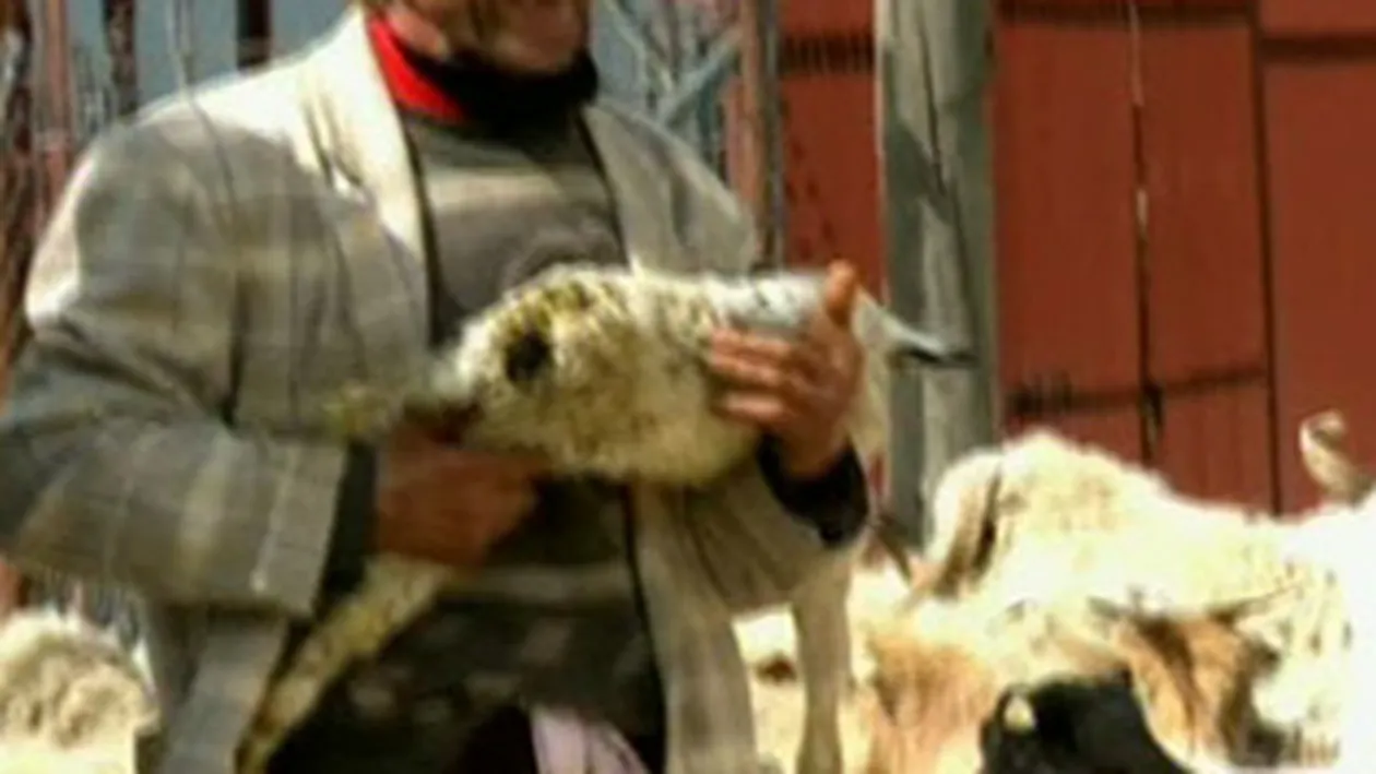 VIDEO Catalin Maruta si-a luat-o pe cocoasa de la Mirabela Dauer: Te omor! Amenintarea nu e gluma! Vezi ce s-a intamplat!