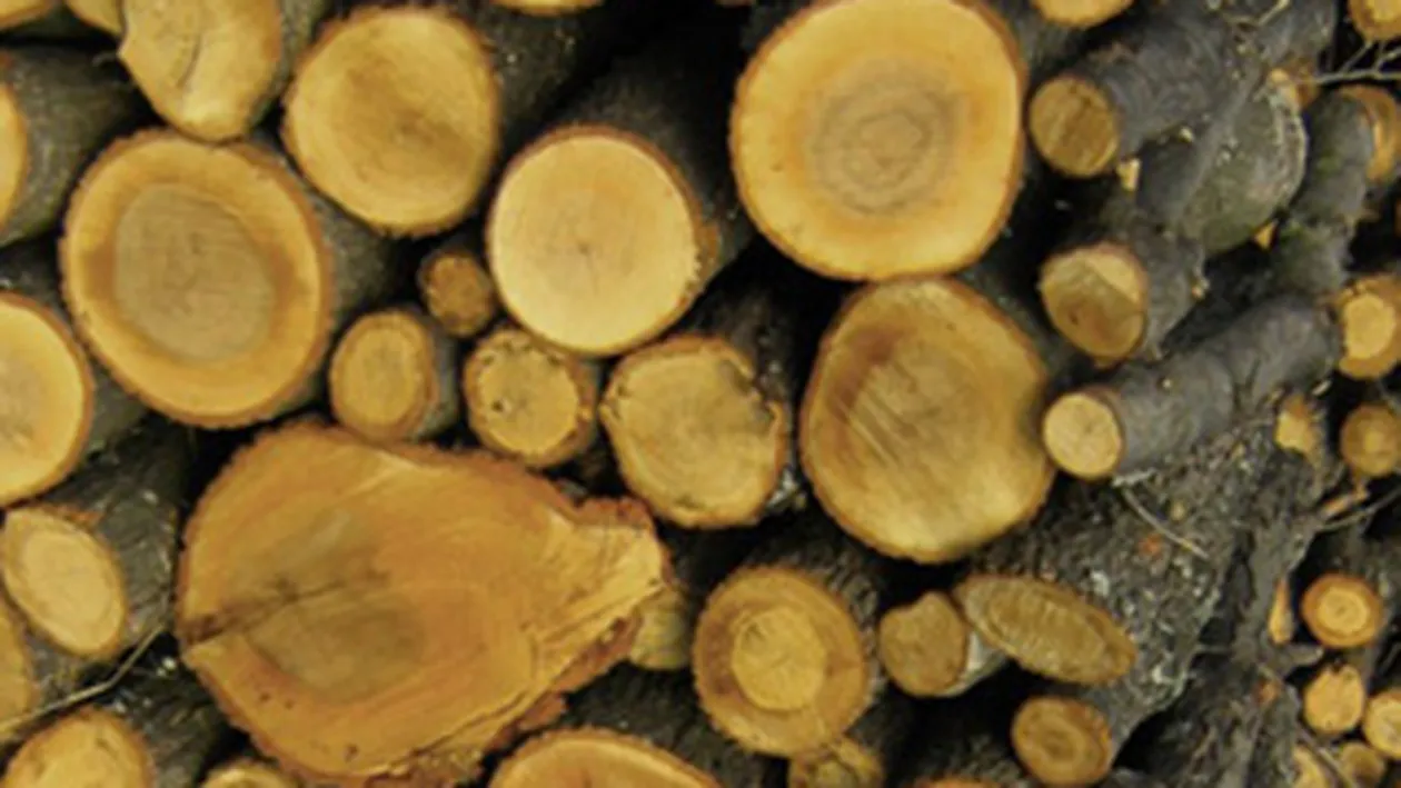 Politistii au strans 80.000 de lei si au cumparat lemne pe care le vor duce locuitorilor din judetele izolate