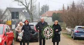 Galerie foto - poza 2