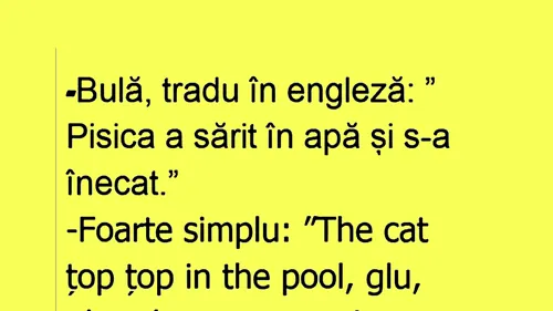 BANC | Bulă, tradu în engleză: Pisica a sărit în piscină și s-a înecat