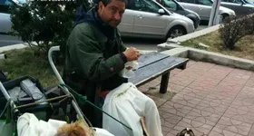 Galerie foto - poza 1