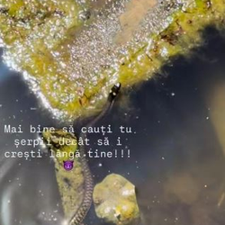Imagine Galerie #2