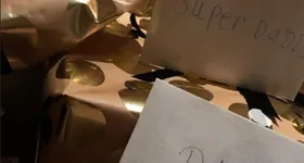 Galerie foto - poza 2