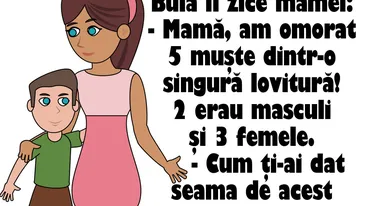 BANC | Bulă îi zice mamei: Am omorat 5 muşte dintr-o singură lovitură! 2 erau masculi şi 3 femele