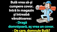 Bancul dimineții | Bulă vrea să-și cumpere covor