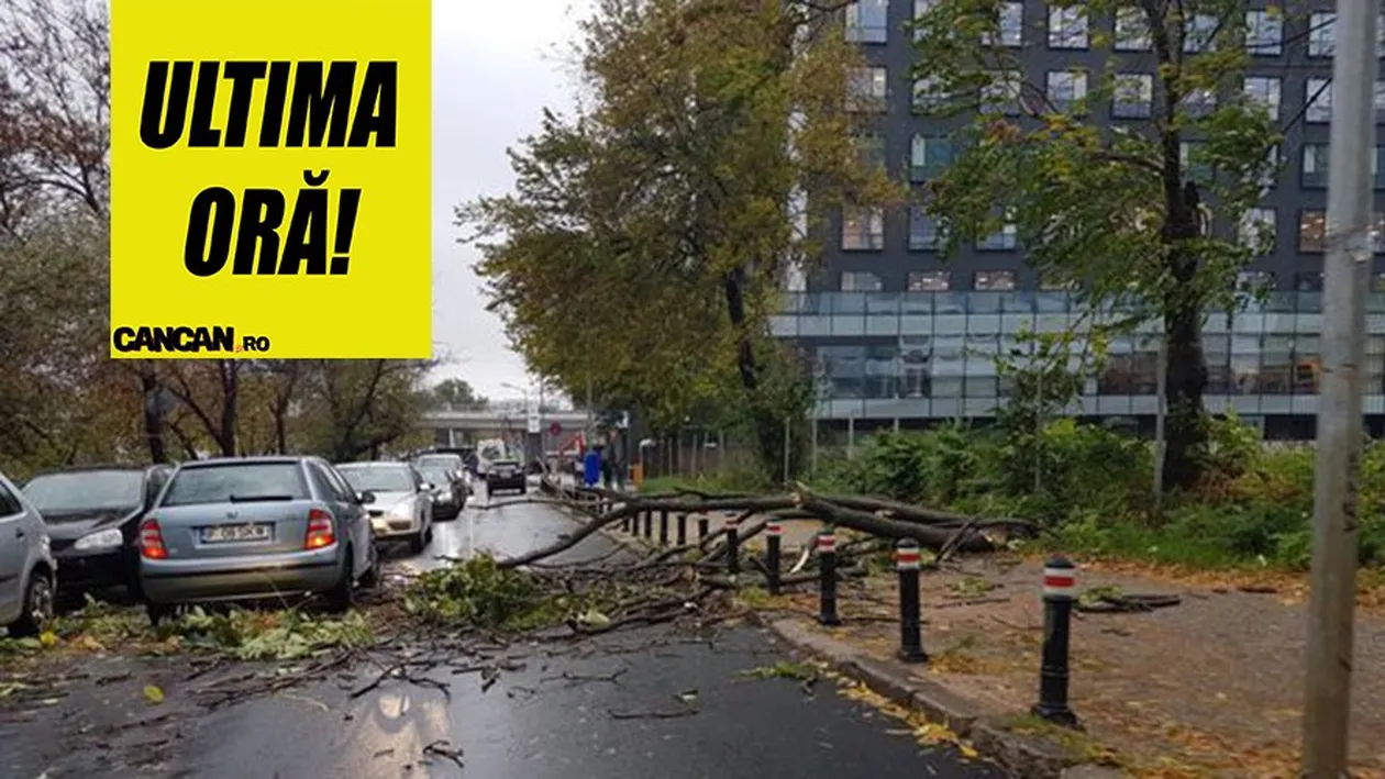 ANM, avertizare de vreme severă imediată emisă la început de săptămână. Fenomene meteorologice cu grad ridicat de pericol