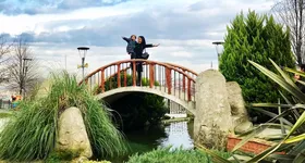 Galerie foto - poza 3