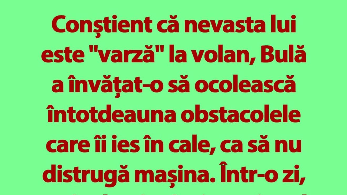 BANC | Bulă și nevasta șoferiță